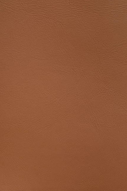 Silverstone 2452 leather swatch