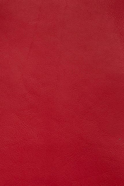 Silverstone 4240 leather swatch