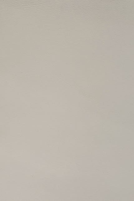 Silverstone 1670 leather swatch