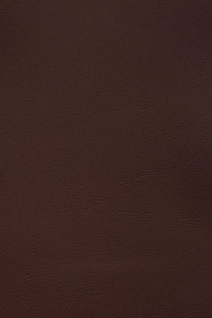 Silverstone 4044 leather swatch