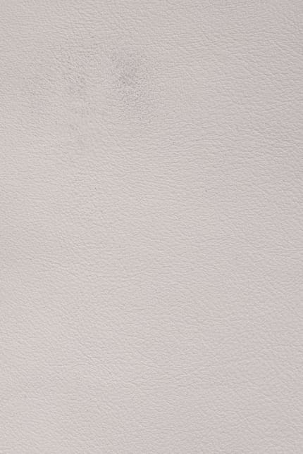 Silverstone 1860 leather swatch