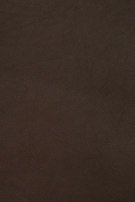 Silverstone 2880 leather swatch
