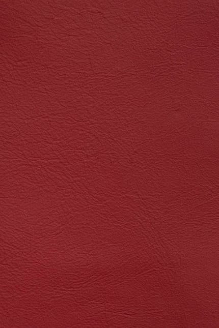 Silverstone 4190 leather swatch