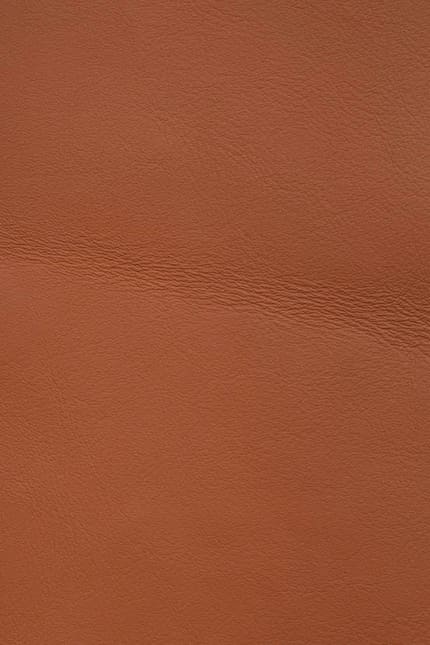 Silverstone 2582 leather swatch