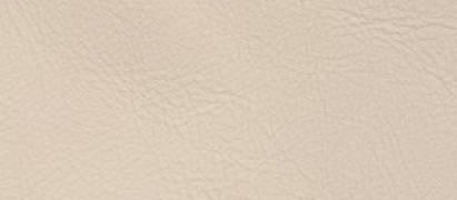 Silverstone leather swatch