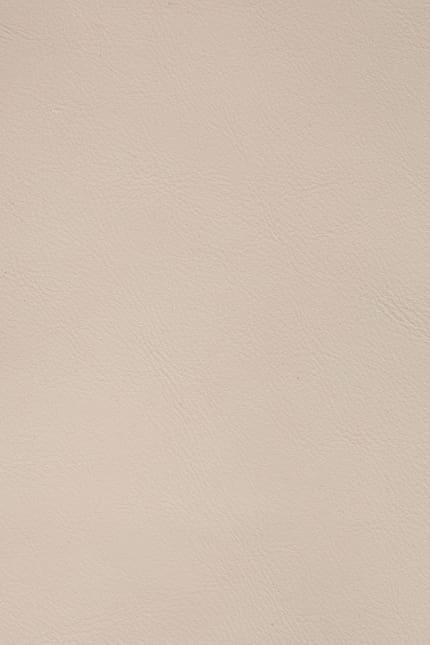 Silverstone 3818 leather swatch