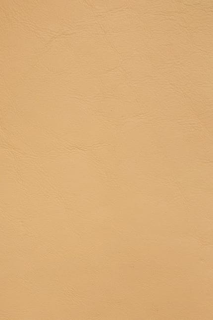 Silverstone 2550 leather swatch