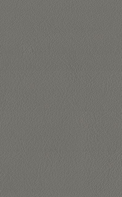 Mercury Taupe leather swatch