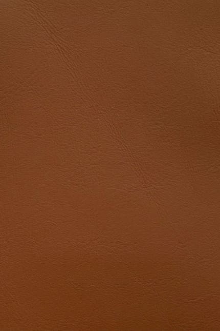 Silverstone 2480 leather swatch