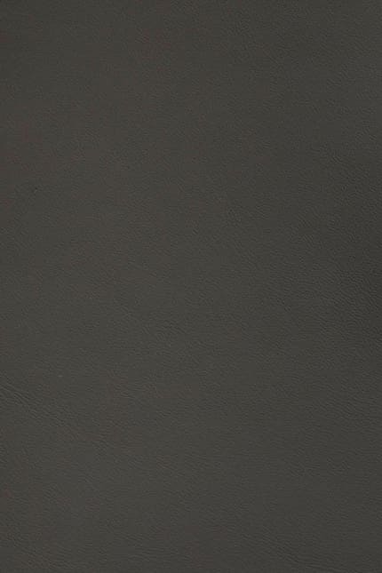 Silverstone 1240 leather swatch