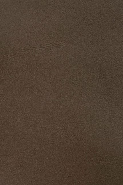 Silverstone 2121 leather swatch