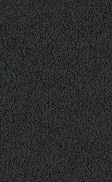 Mercury Anthracite leather swatch