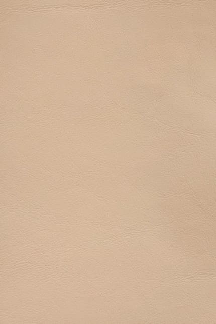 Silverstone 3880 leather swatch