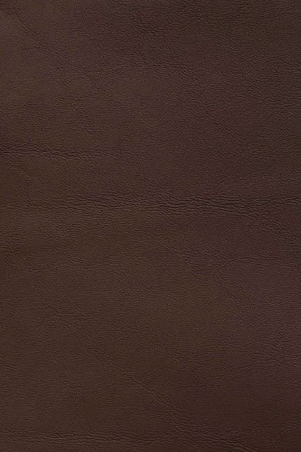 Silverstone 2085 leather swatch