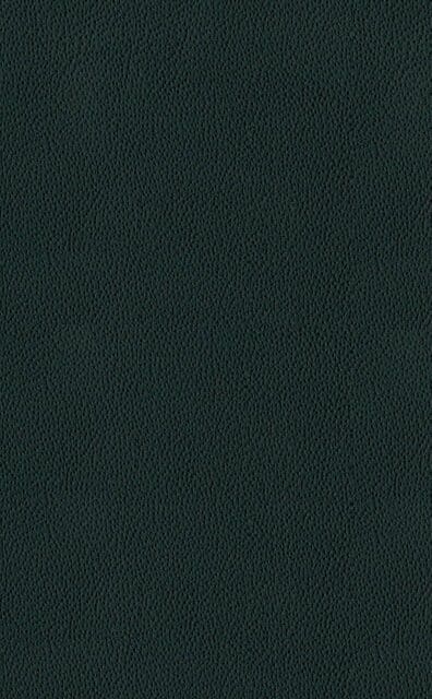 Mercury Bottle leather swatch