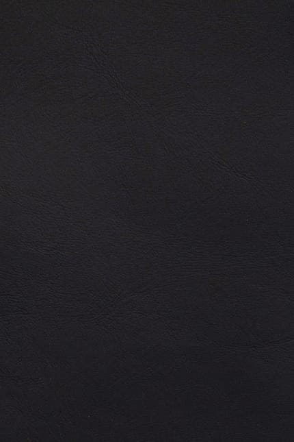Silverstone 5022 leather swatch