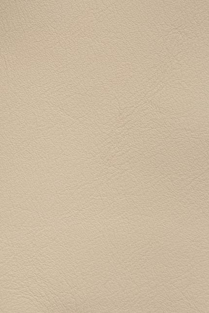 Silverstone 3890 leather swatch