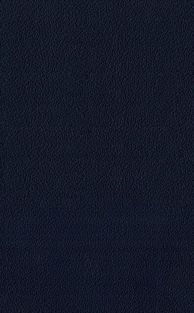 Mercury Nocturne leather swatch