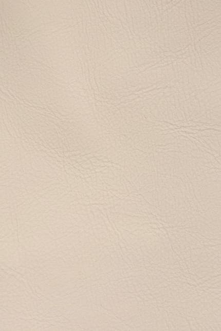 Silverstone 9119 leather swatch