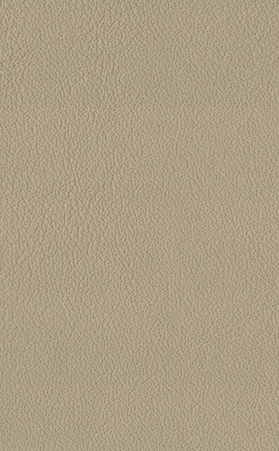 Mercury Cappuccino leather swatch