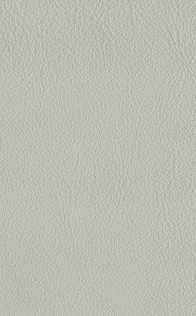 Mercury Stone leather swatch