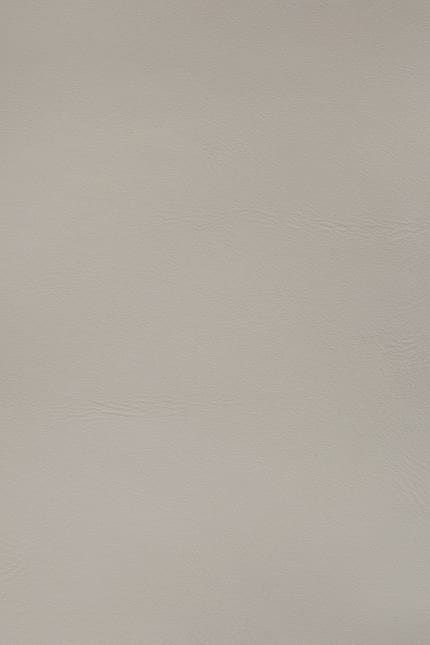 Silverstone 1540 leather swatch