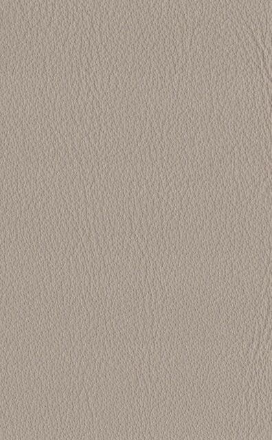 Mercury Clay leather swatch