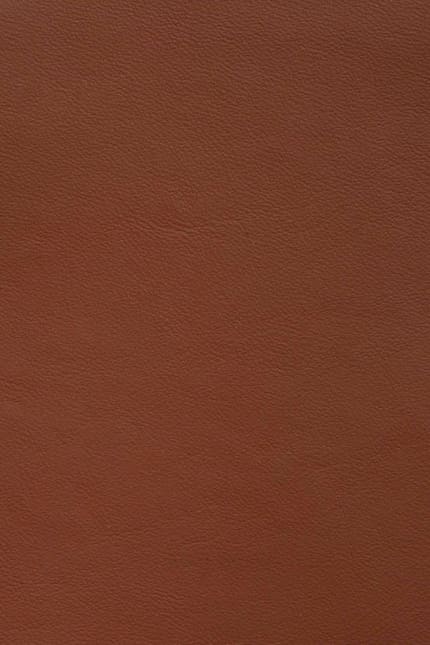 Silverstone 2270 leather swatch