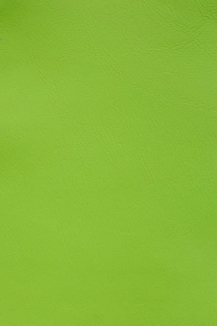 Silverstone 7717 leather swatch