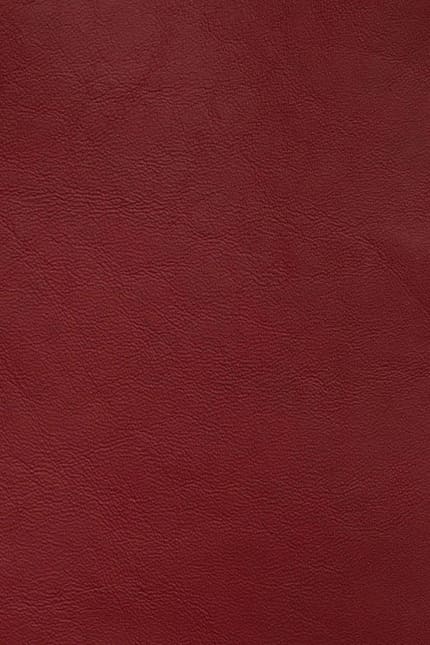Silverstone 4192 leather swatch