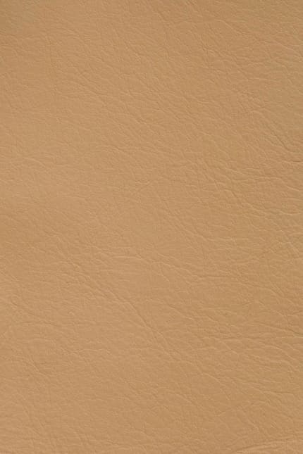 Silverstone 3404 leather swatch