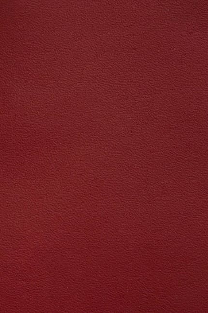 Silverstone 4201 leather swatch