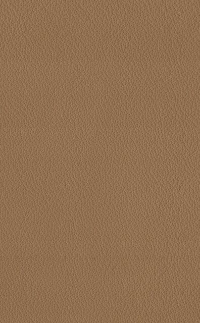 Mercury Caramel leather swatch