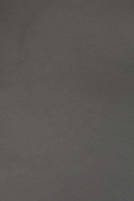 Silverstone 1260 leather swatch