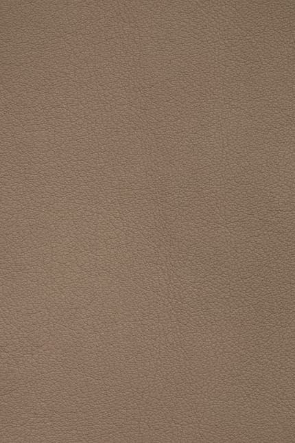 Silverstone 3160 leather swatch
