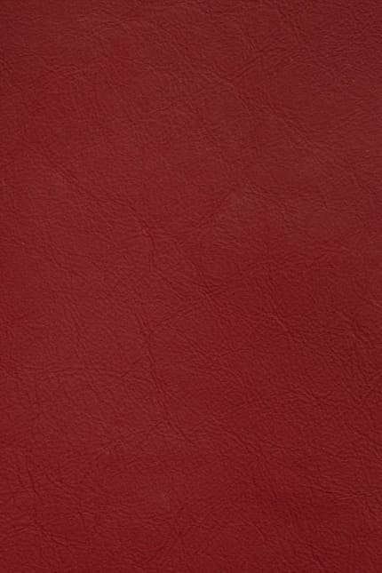 Silverstone 4184 leather swatch