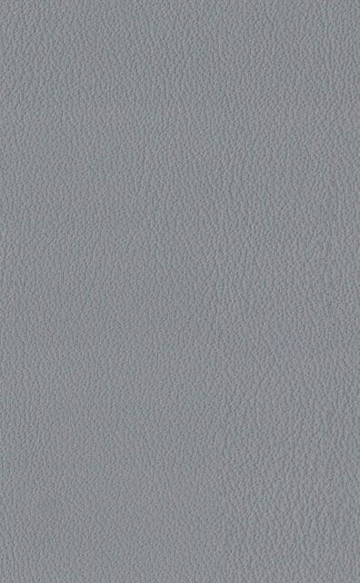 Mercury Iron leather swatch