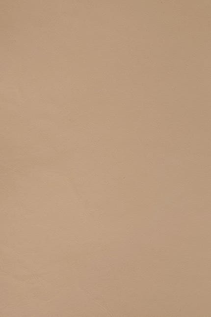 Silverstone 3477 leather swatch