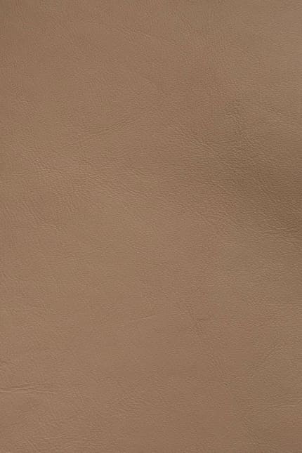 Silverstone 3218 leather swatch