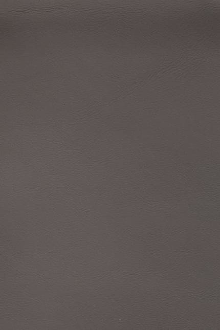 Silverstone 1210 leather swatch
