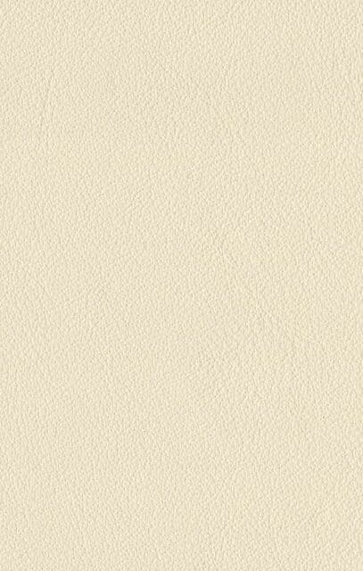 Mercury Cream leather swatch