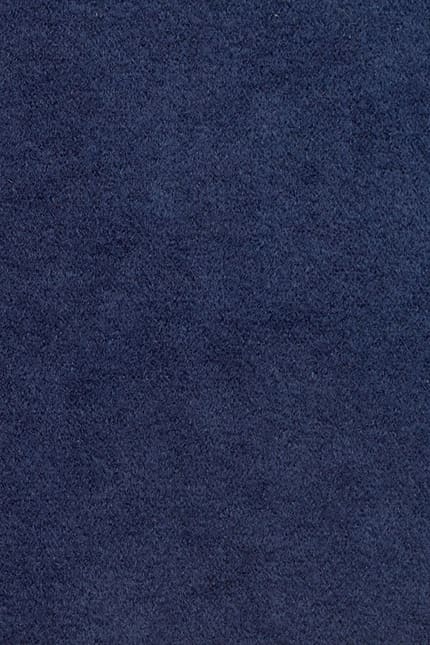 Alcatraz A10 leather swatch