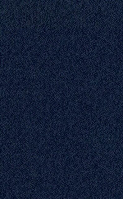 Mercury Deep leather swatch
