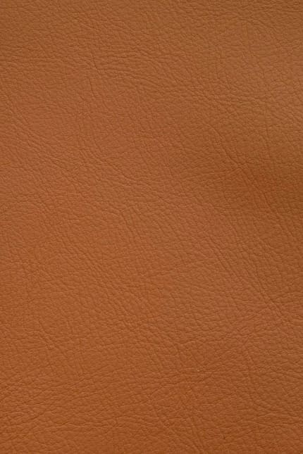 Silverstone 2520 leather swatch