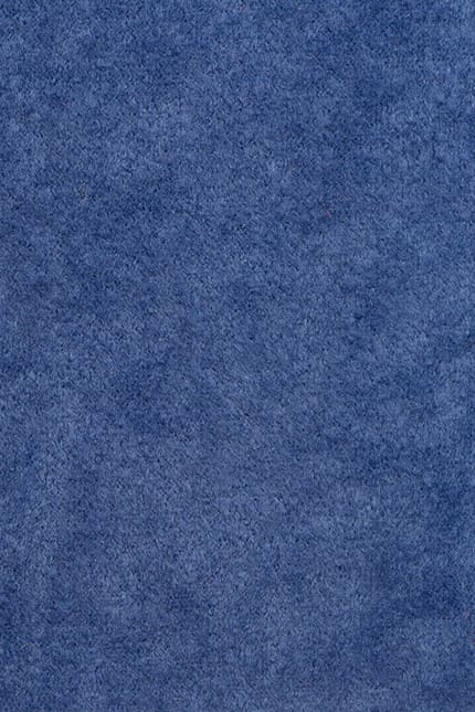 Alcatraz A9 leather swatch