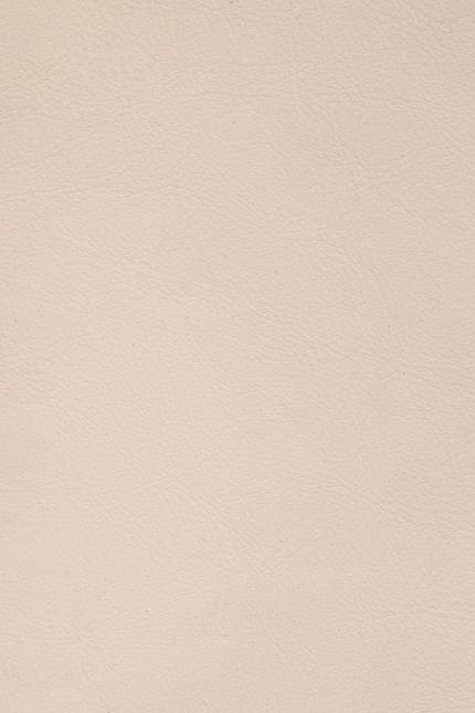 Silverstone 3999 leather swatch