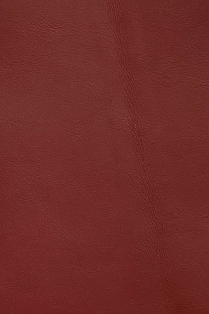Silverstone 4208 leather swatch