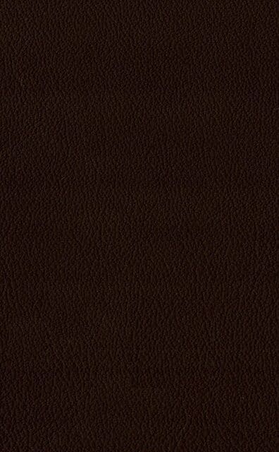 Mercury Praline leather swatch