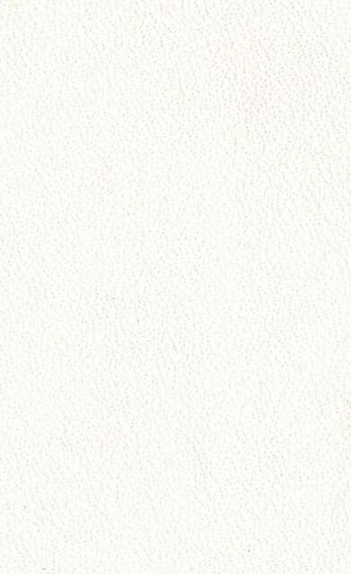 Mercury Milk leather swatch