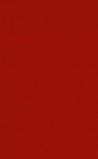 Mercury Passion leather swatch